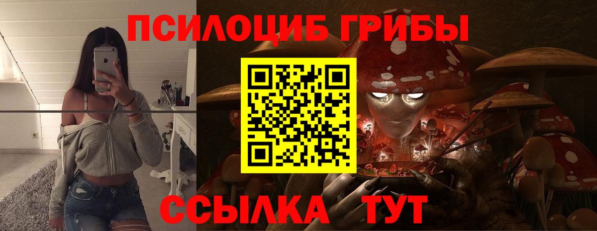Псилоцибиновые грибы прущие грибы  Галлюциногенные грибы Psilocybine cubensis  Вход с VPN  Долгопрудный 